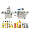 ZONESUN 4-Nozzle Liquid Filling & Capping Line for Bottles
