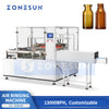 bottle air rinsing machine