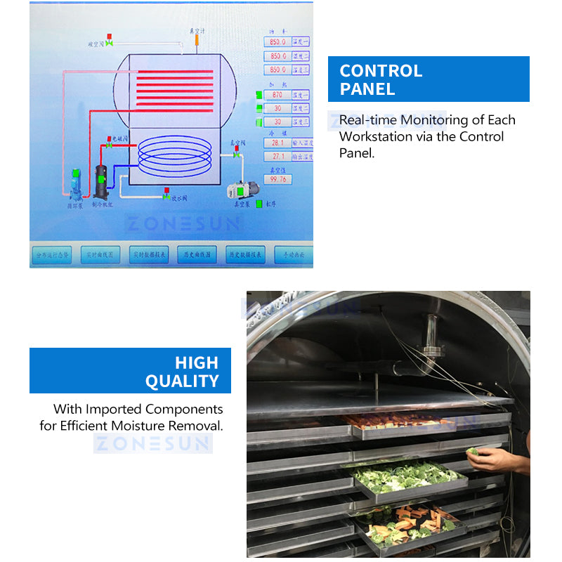 ZONESUN ZS-FD650 Industrial Freeze Dryer for Food & Pharmaceutical Processing