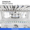 Automatic Corrosive Liquid Filling and Capping Machine