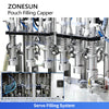 Rotary pouch filling machine