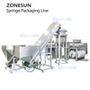 ZONESUN ZS-HYS60 Automatic Syringe Feeding and Pouch Packaging Line