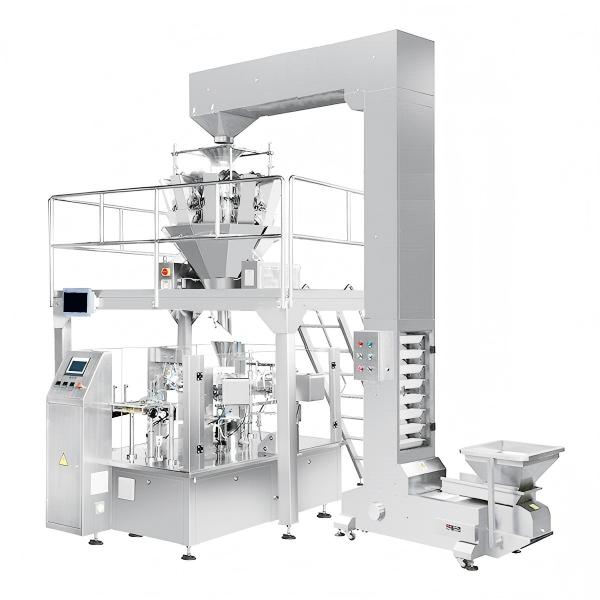 ZONESUN ZS-GB200 Granule Weighing Feeding Filling Sealing Machine - Bagging Machine