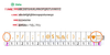 ZONESUN Customized Link - Customized Packaging Solution Link