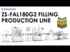 ZONESUN ZS-FAL180G2 Automatic Production Line video