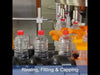 zonesun production line