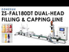 dual-head filling system