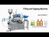 ZONESUN ZS-AFC2 Automatic Paste Filling And Capping Machine With Cap F