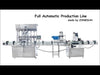 zonesun production line